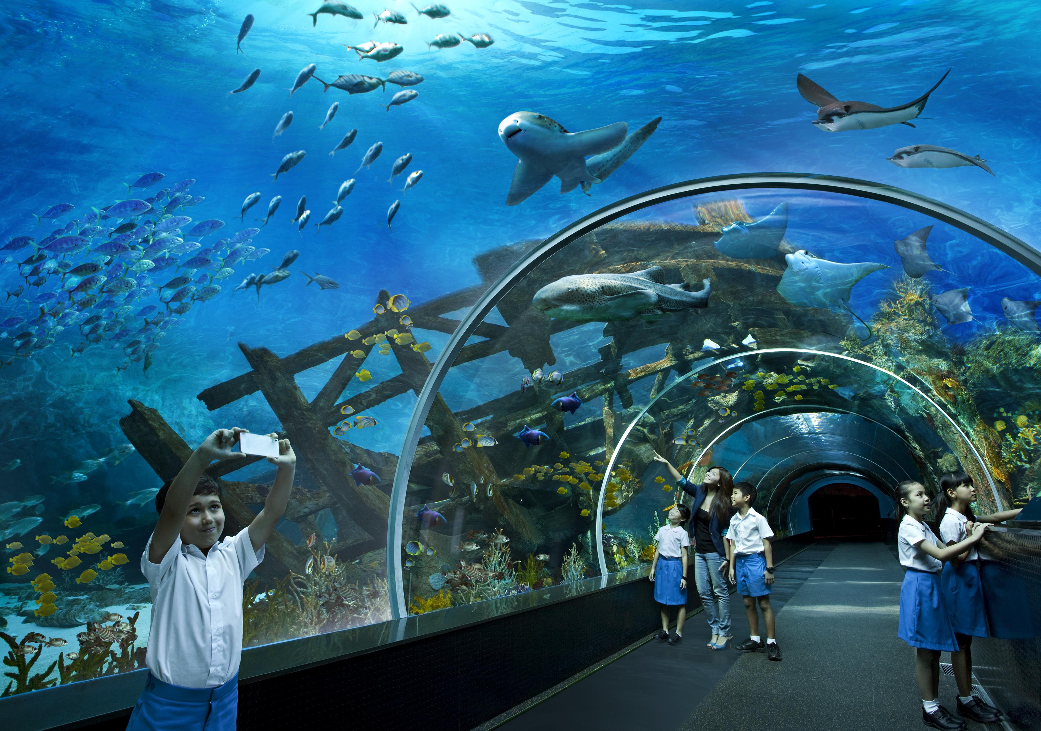 Resorts World Sentosa - Hotel Michael Singapore Eksteriør billede